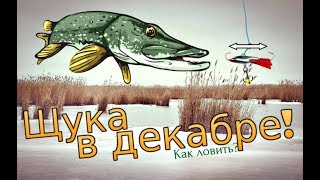 Где ловят щуку в кургане на открытую воду