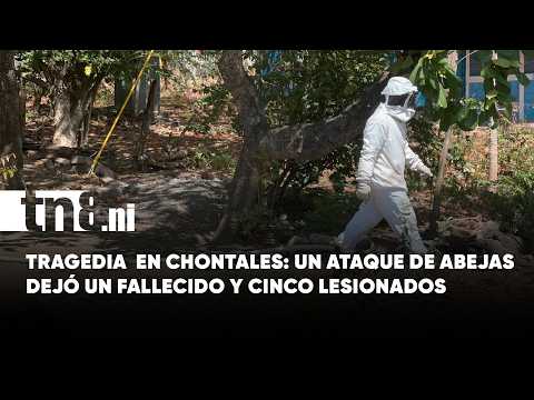 Ataque de abejas en La Palma, Chontales deja un fallecido y cinco lesionados