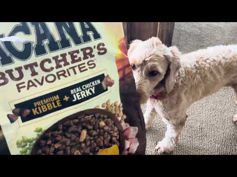 Honest Review of ACANA Butcher’s Favorites Grain-Free Free-Run Poultry Dog Food
