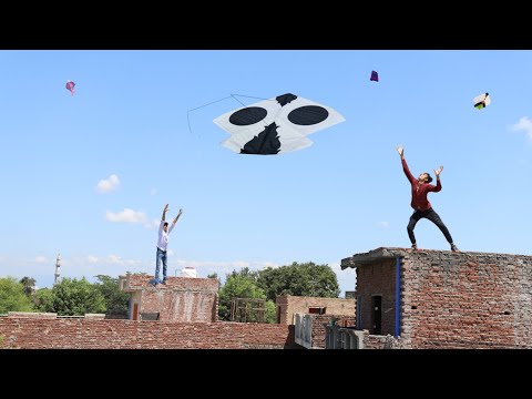 Cutting Gudda Catch & Kite Fight | Gudda