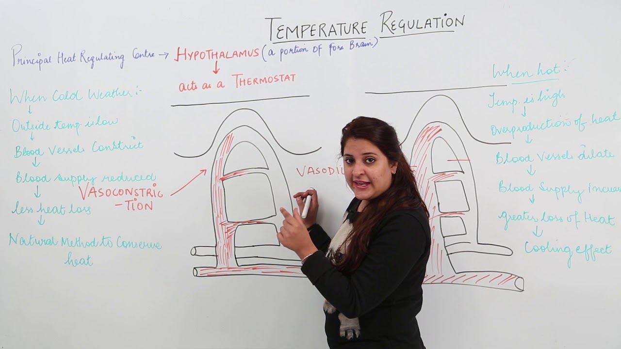 ICSE Class 9th I BIOLOGY I Chapter 5 I Lecture 8 | Temperature Heat Regulation