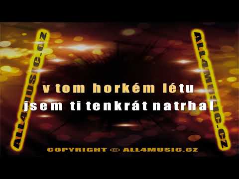 KJ1419 MATUŠKA WALDEMAR-Tak jen se přiznej (Karaoke verze)