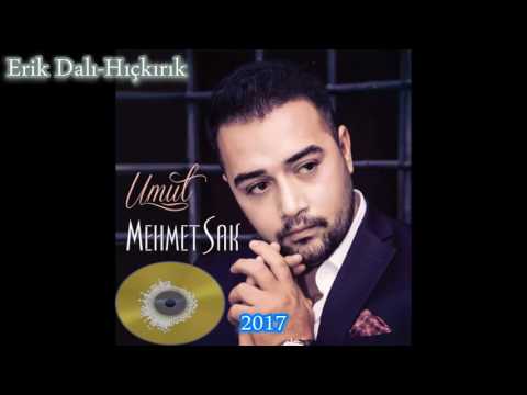 Mehmet Sak- Erik Dalı