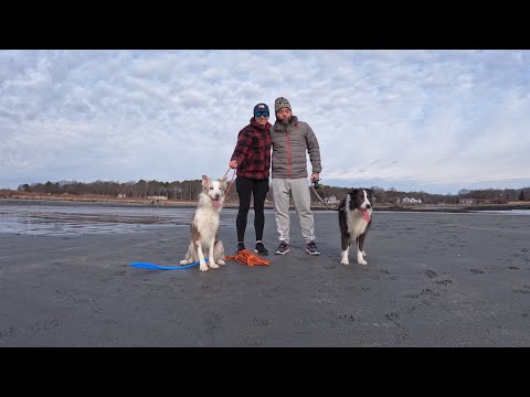 Bidu’s First Beach Visit
