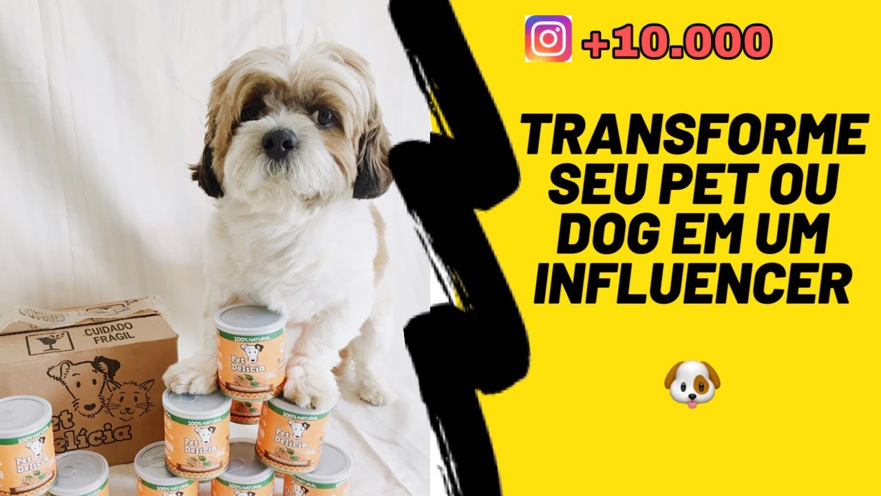 ✅ Como Deixar Seu Cachorro Famoso no Instagram!!!