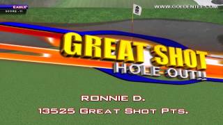 Golden Tee Great Shot on Alpine Run!