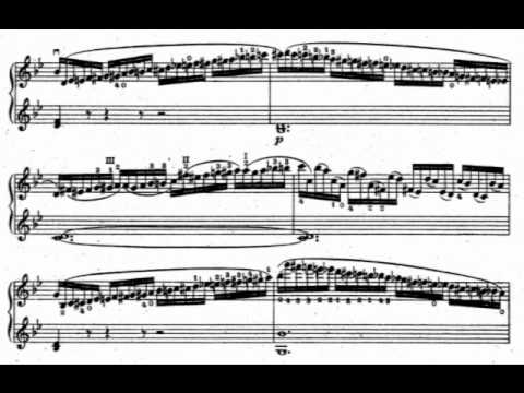 Wieniawski, Henryk op.18 for 2 violins part 5,6,7,8