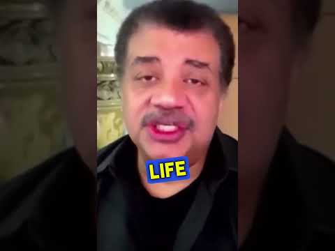 Neil deGrasse Tyson On Brian Cox