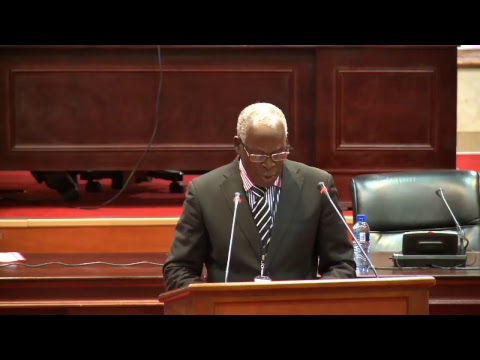 Plenary: Presentation and Debates 17 May 2017