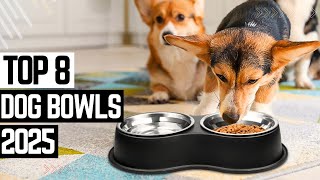 Top 8 Best Dog Bowls 2025 🦮 Every Pet Owner Needs to See This 🦮