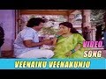 Veenaiku Veena Kunju Ellame En Raasathan