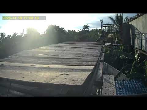 Captura #14 de Tubo de pasta de los chihuahuas de san cristobal artemisa 💪 