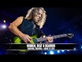 Metallica: Broken, Beat & Scarred (MetOnTour ...