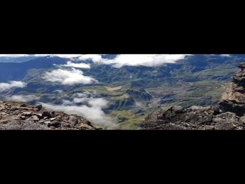 MAMO FAMILY  Aim à nou en temp vivant