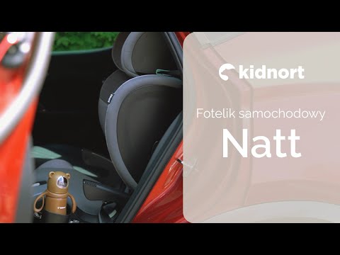 Kidnort Natt GRAY Beebide turvatool 15-36 kg