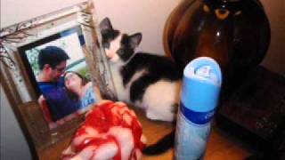 Adam Sandler&#39;s Thanksgiving song