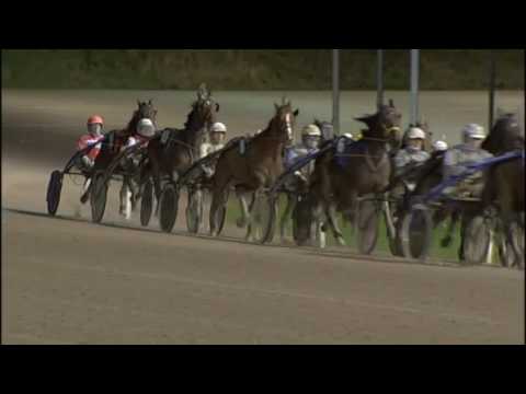 Victoria Park Wolvega 23-12-2016 KOERS 2 DAME ALKI - H.W LANGEWEG