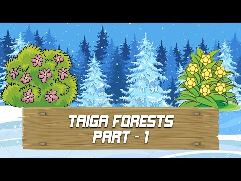 Taiga Forests - Amazing Strange Facts Blow Your Mind - Ep - 13 - Part 1