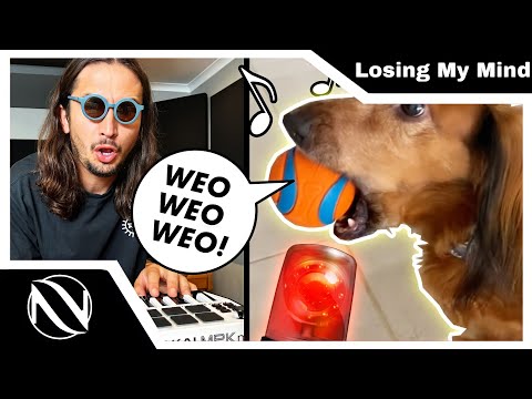 🚨 Losing My Mind | SUBTITULADO EN ESPAÑOL | The Kiffness x Siren Dog (Singing Dachshund)
