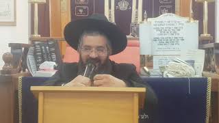 הרב אורן צדוק - האם מותר לקנות תוכי? וסקירה על חיי היהודים בתימן בענייני טריפות, חדיד ט' כסלו תשפ"א