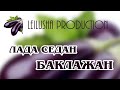 Тимати feat Рекорд Оркестр - Лада Седан Баклажан (лучший танец) 