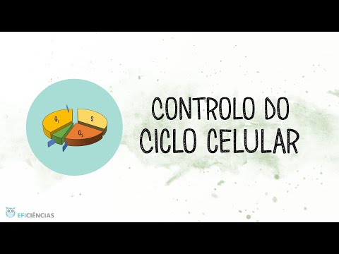 Controlo do Ciclo celular - Biologia e Geologia 11ºano