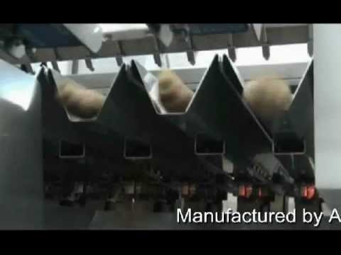 ThorPack - Bakery Counting Machine