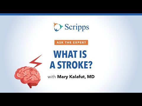 Stroke Causes and Risk Factors | Ask The Expert