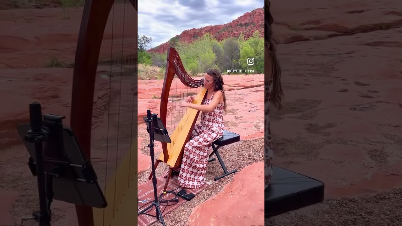Promotional video thumbnail 3 for Braya the Harpist