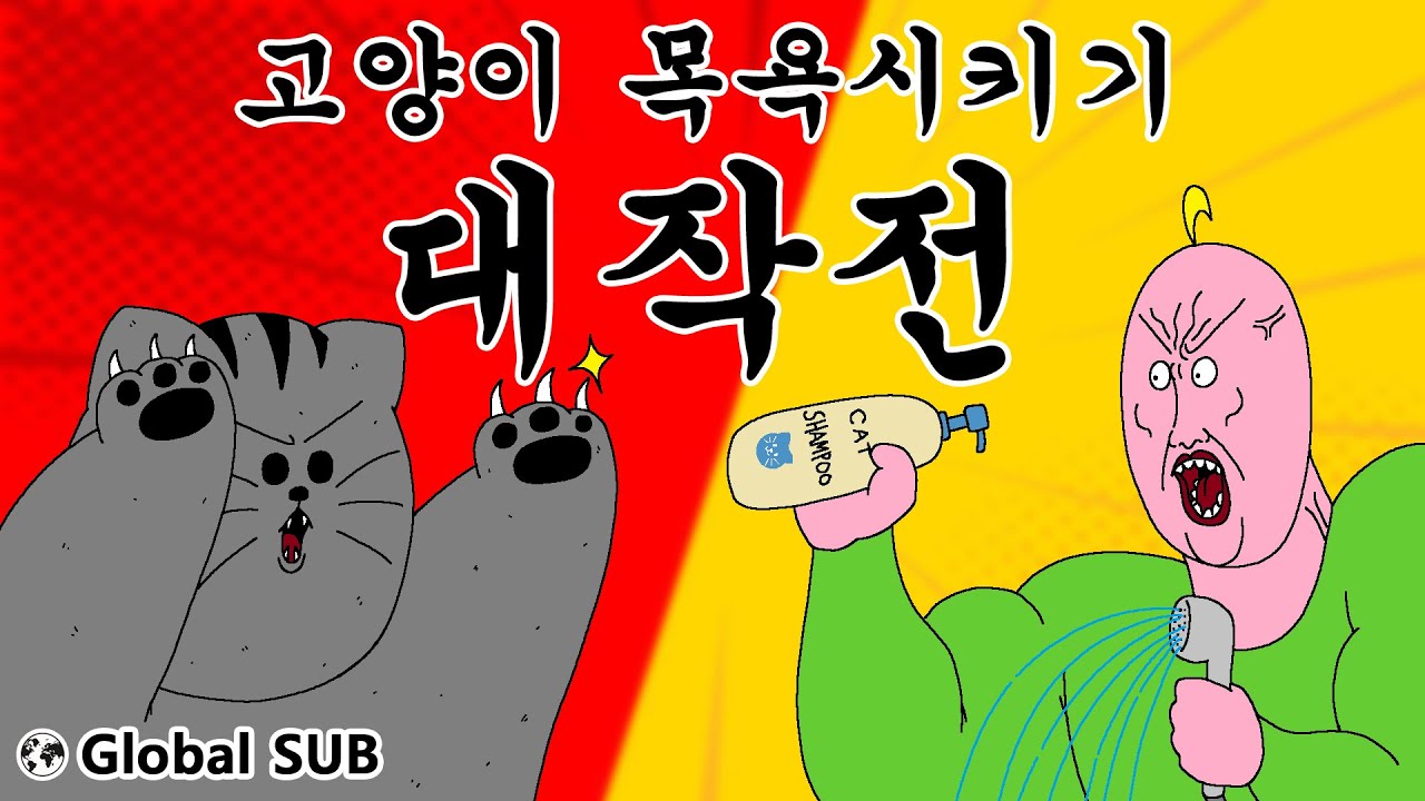 [짐승친구들] 고양이 목욕시키기 대작전