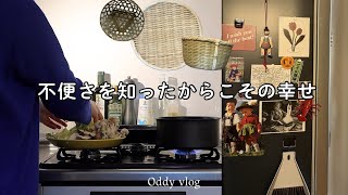 ドイツの不便な生活で価値観が変わった話/肉スライスからの卒業・キッチン改造と最近の暮らし。40代日常vlog