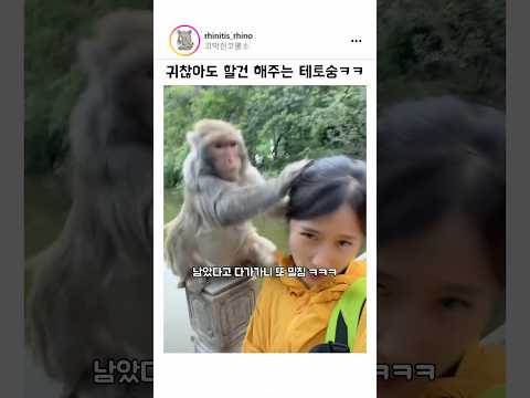 귀찮아도 할건 다 해주는 테토숭 ㅋㅋㅋ