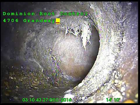 Dominion Root Control, LLC Foam Application