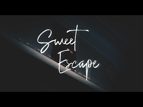 Animagus Roy - Sweet Escape (Official Music Video)