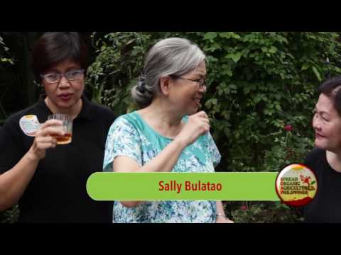 download lagu mp3 mp4 Turmeric Chips Recipe, download lagu Turmeric Chips Recipe gratis, unduh video klip Turmeric Chips Recipe