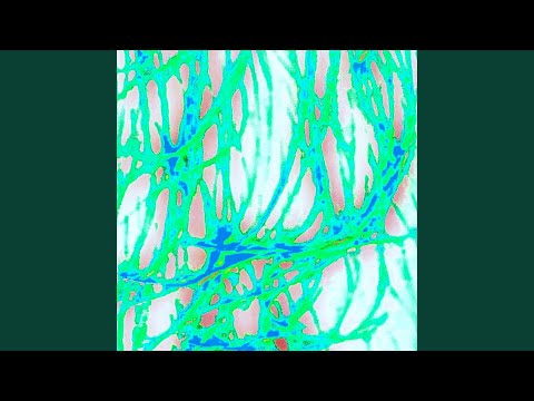 Пентаграмма