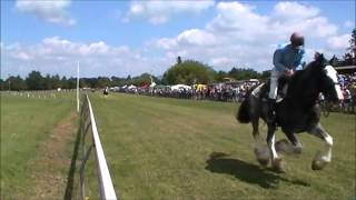 preview picture of video 'Clydesdale Racing - Pirongia Boxing Day Races 2014'