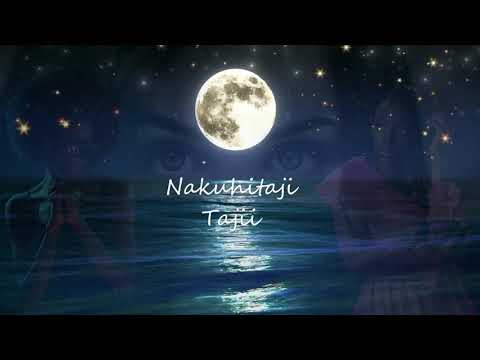 Tajii!!! - Timus ic!. (Lyrical Video)