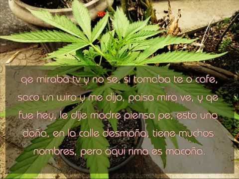 Ah Lo Jamaic - El Paisa