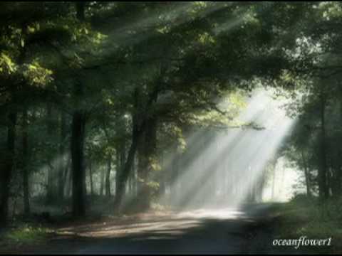 download lagu mp3 mp4 Ryan Farish Movement In Light, download mp3 Ryan Farish Movement In Light free download mp3, download mp3 Ryan Farish Movement In Light