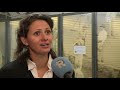 VVD raadslid over borg voor festival
