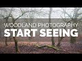 Woodland Photography - Start Seeing