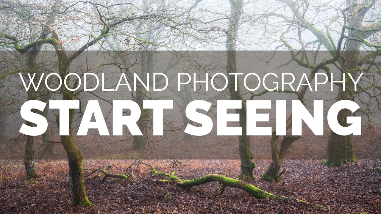 Woodland Photography - Start Seeing