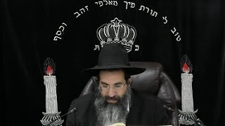 מסכת בבא בתרא - דף יב: - יג: | חלק 26 | הרב שי עובד (הרב שי עובד) - התמונה מוצגת ישירות מתוך אתר האינטרנט יוטיוב. זכויות היוצרים בתמונה שייכות ליוצרה. קישור קרדיט למקור התוכן נמצא בתוך דף הסרטון