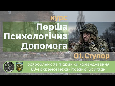 Ступор при бойовому стресі: симптоми, причини та що робити | ППД 01