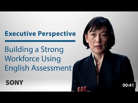 Sony: Making an Investment in Assessment