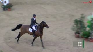 Video von Carrera VDL