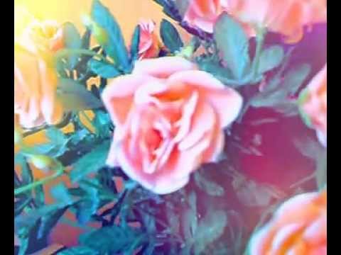 Sirenen, Walzer Op.164 - Johann Strauss II