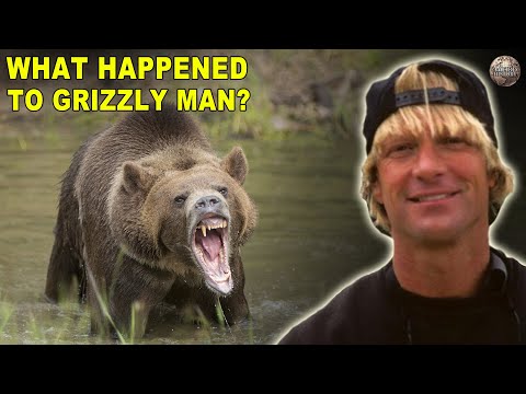 Everything That Had to Go Wrong for "Grizzly Man" to Meet His Demise