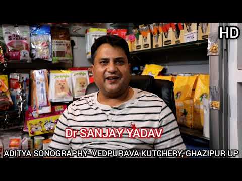 Dr Sanjay Yadav in Aditya Dog Point_Rajendra Nagar, Peernagar Gzp- Up....